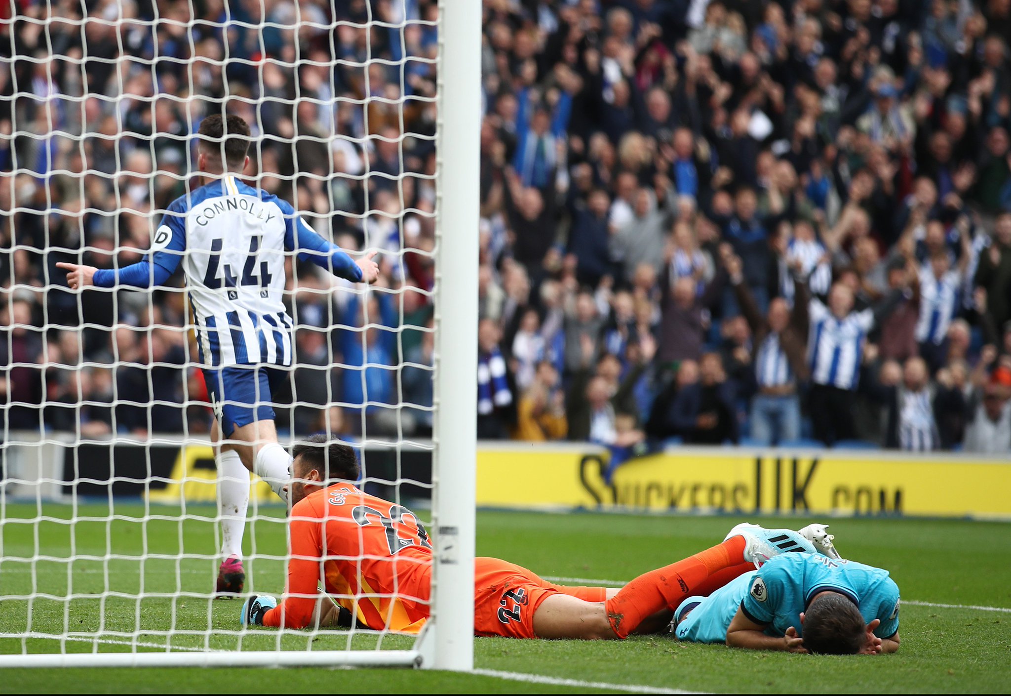 帕尔默不仅 帕尔默不仅